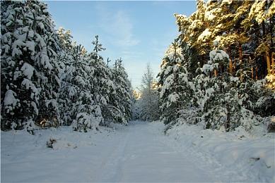 日本中学寓教于游戏 引入《寂静岭》学习英文课程
